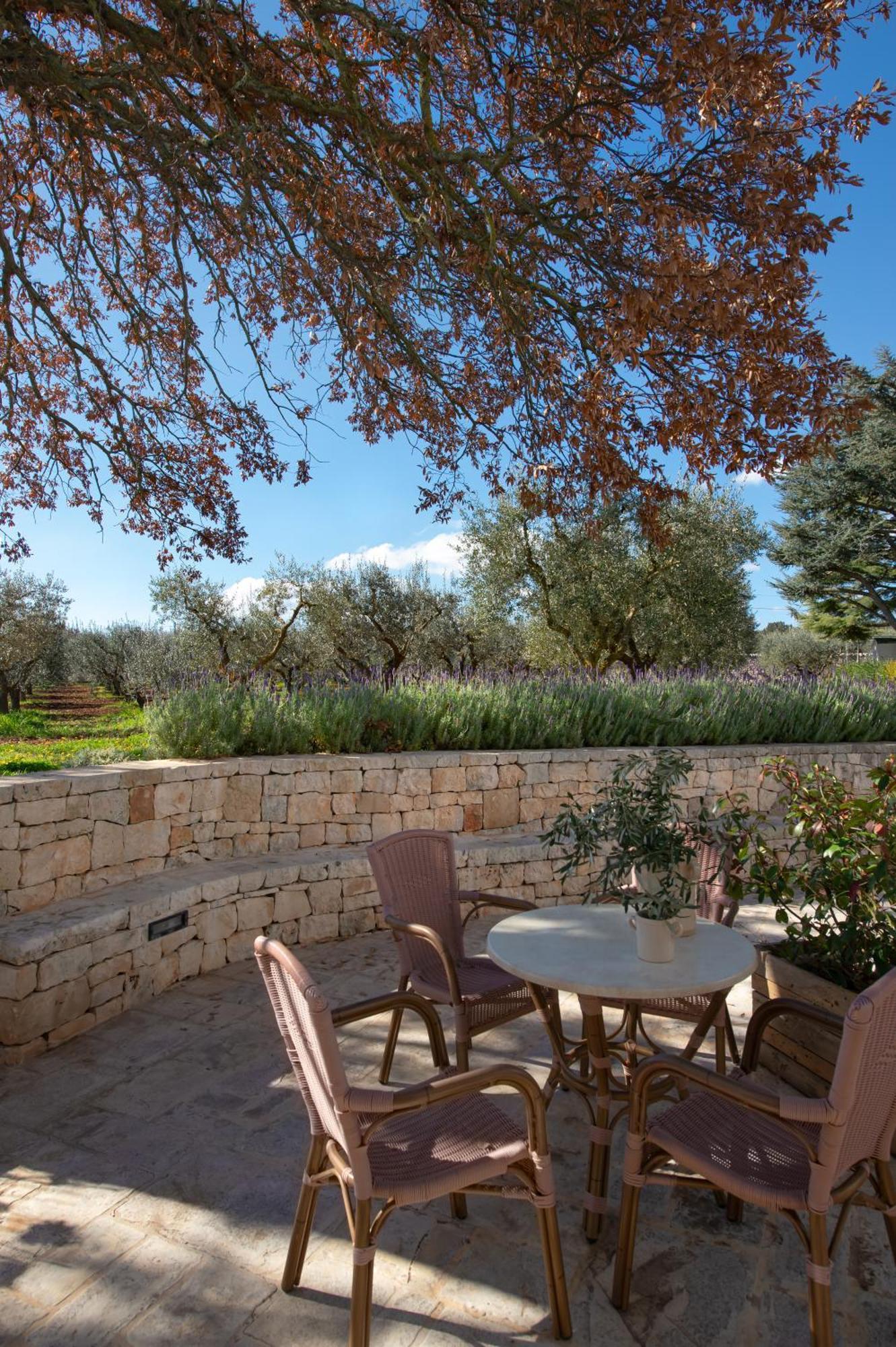 Agriturismo Masseria Aprile Locorotondo Exteriér fotografie