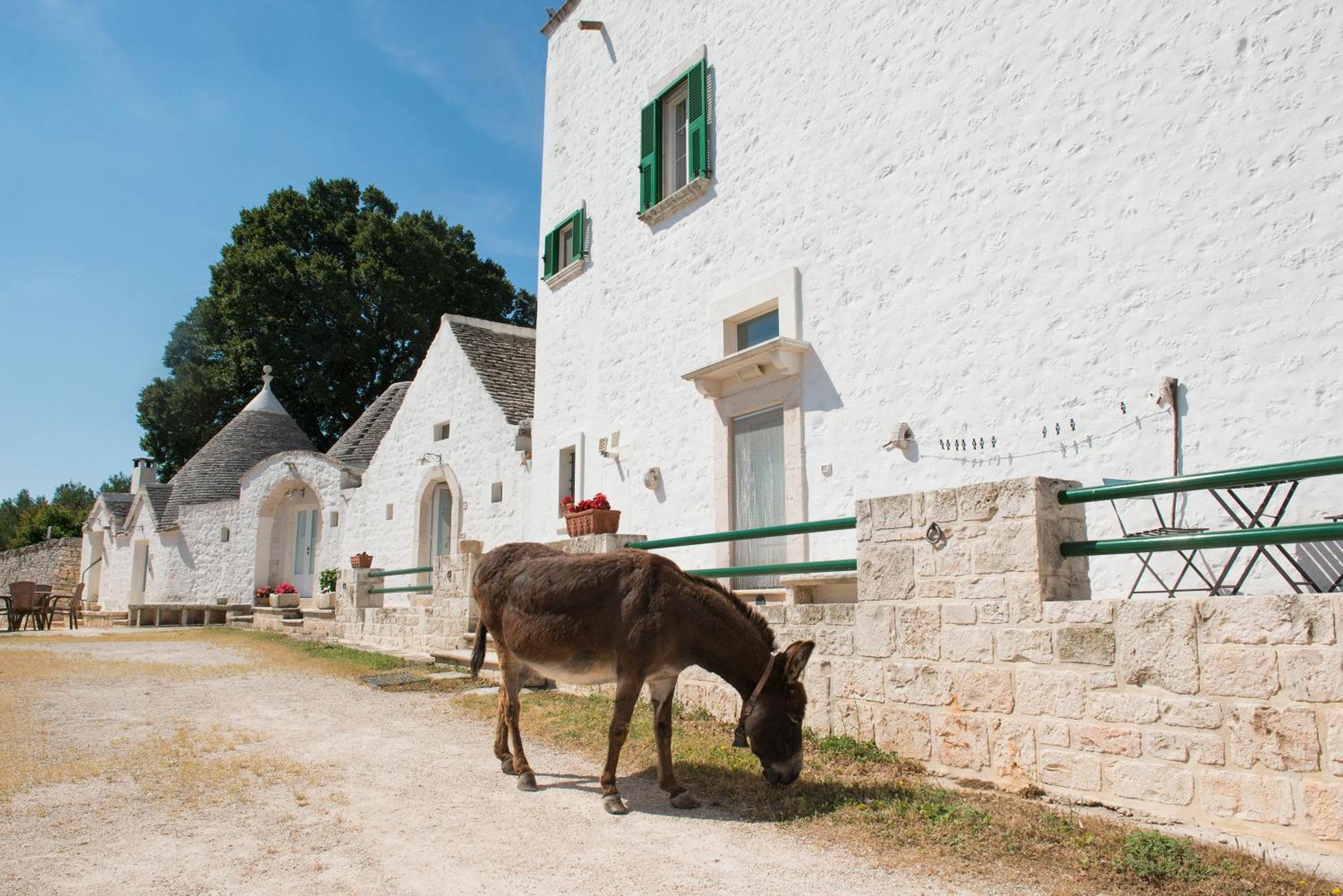 Agriturismo Masseria Aprile Locorotondo Exteriér fotografie
